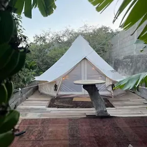 https://hotel-yurt-in-avocado-garden.in-canary-islands.com